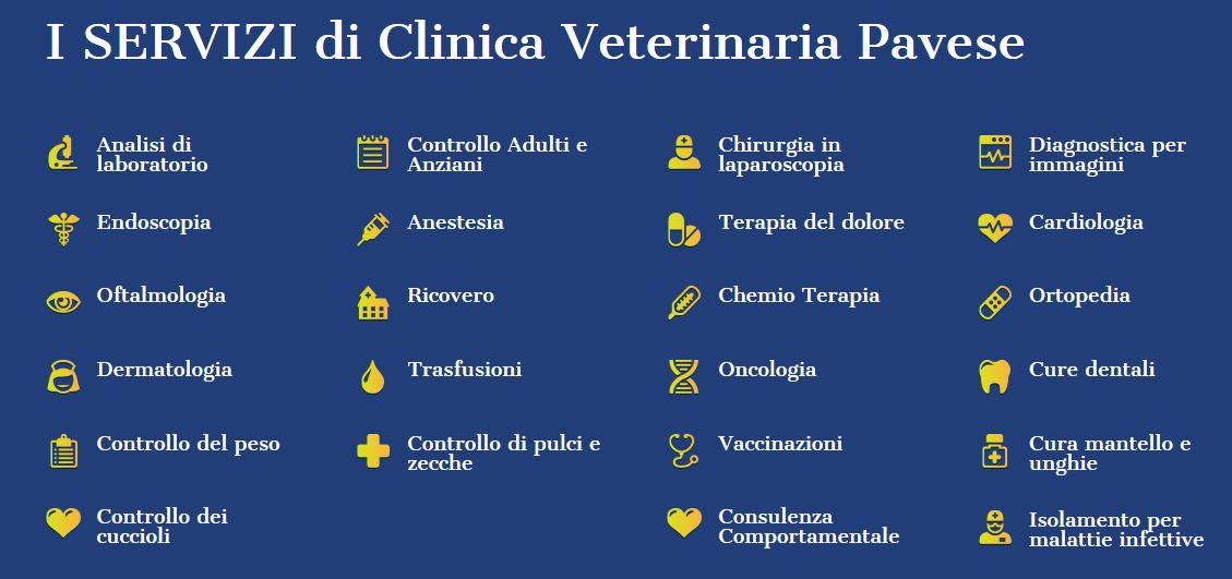 veterinaria1